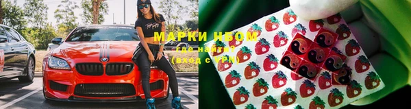 эйфоретик Майский