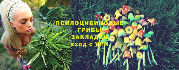 спайс Магадан