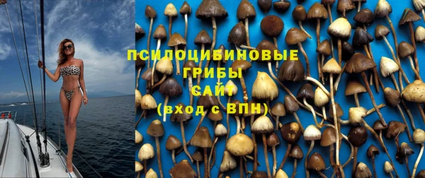 спайс Магадан