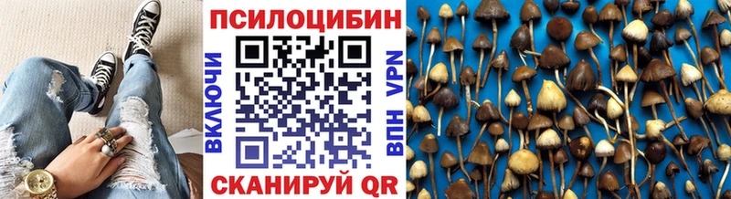 где купить наркотик  Петровск  Галлюциногенные грибы GOLDEN TEACHER 