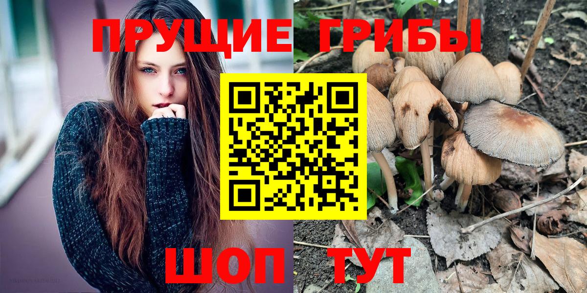 Псилоцибиновые грибы Magic Shrooms Петровск